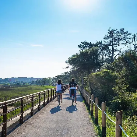 公寓 里亚托公寓 *